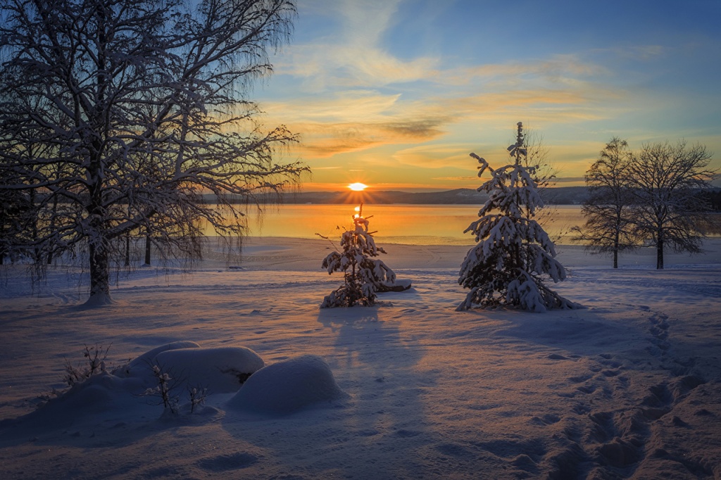 Winter_Sunrises.jpg