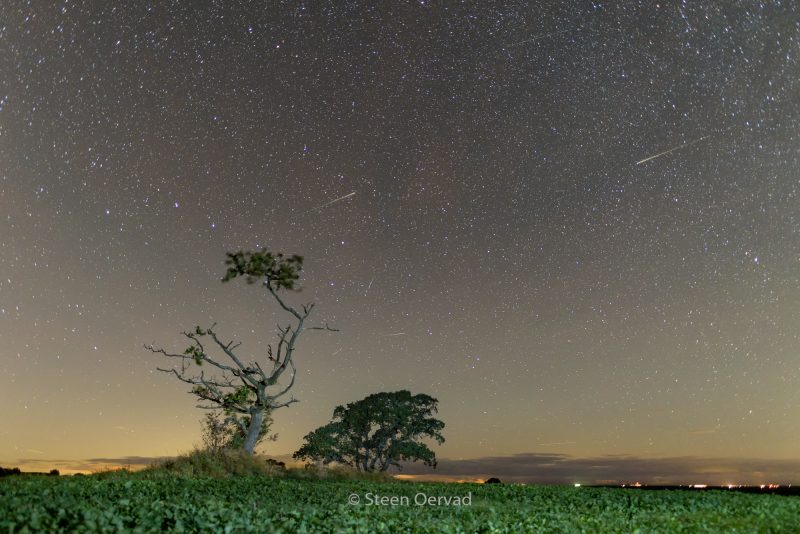 draconid-10-7-2016-Steen-Oervad-Denmark-e1475923758924.jpg draconid-10-7-2016-Steen-Oervad-Denmark-e1475923758924.jpg