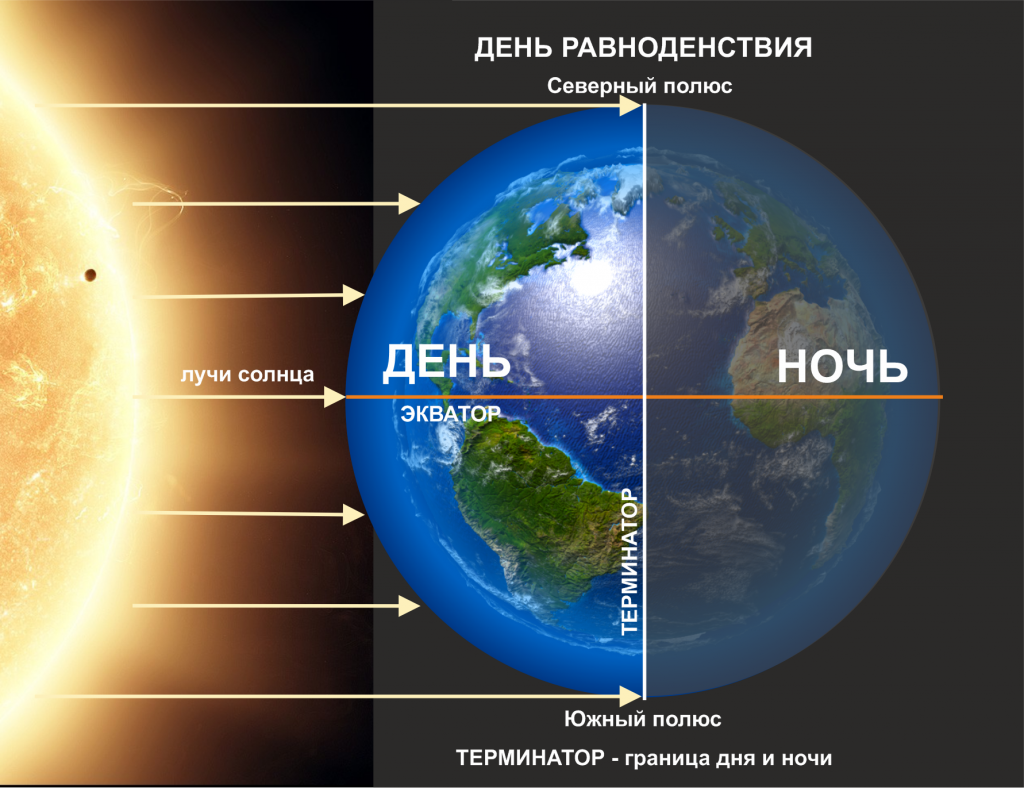 Терминатор.png