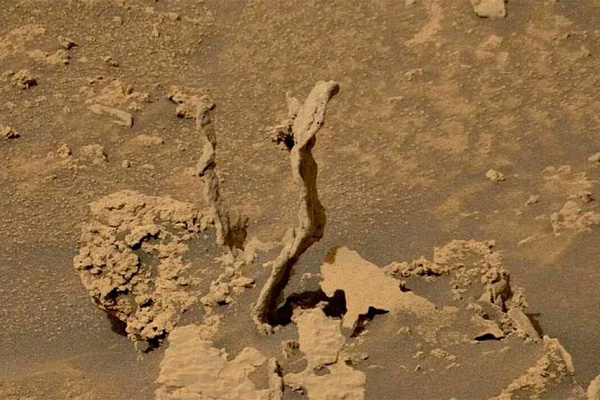 Марсоход Curiosity сфотографировал нечто, похожее на цветы или шипы на Марсе